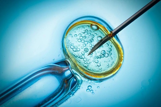 三代试管胚胎检测风险有多大？三代试管胚胎检测成功率
